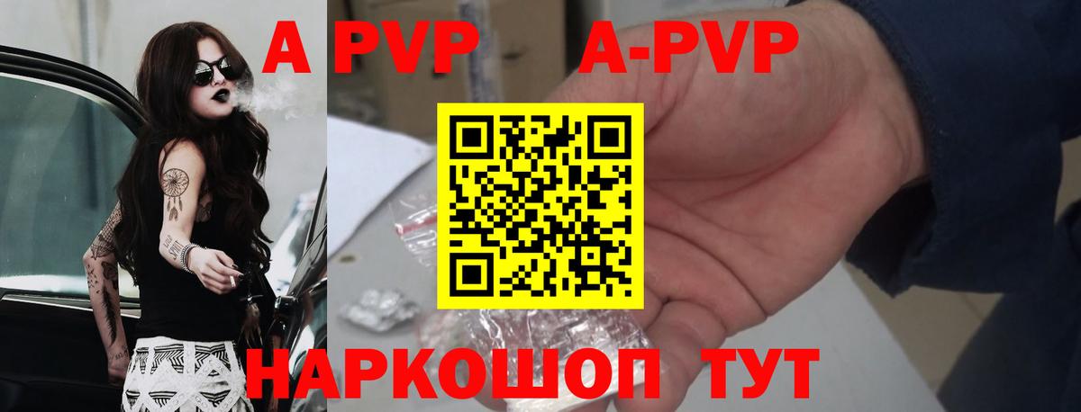 A PVP СК Берёзовский