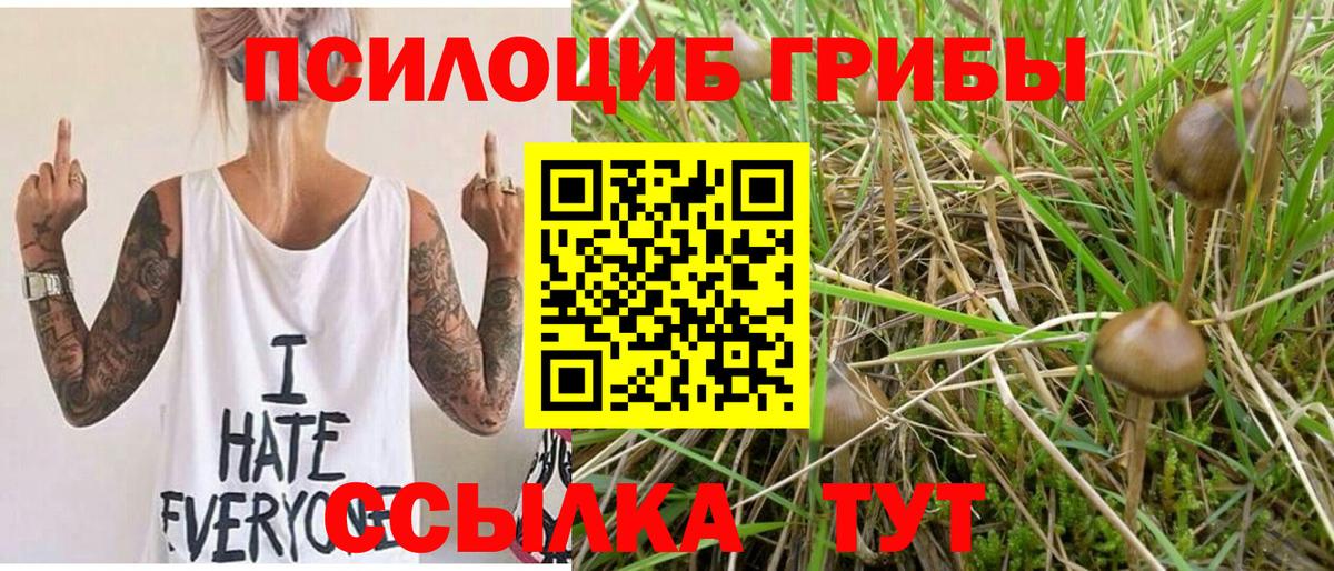Берёзовский  Галлюциногенные грибы Magic Shrooms  Вход с VPN  Псилоцибиновые грибы мухоморы 
